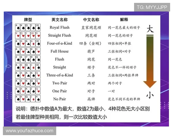 K8真人国际：新手必看入门指南，帮助玩家快速掌握游戏技巧与规则