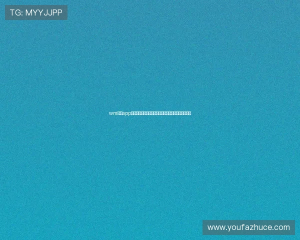 wm视讯app最新版本下载安装指南帮助玩家轻松畅享高清直播体验